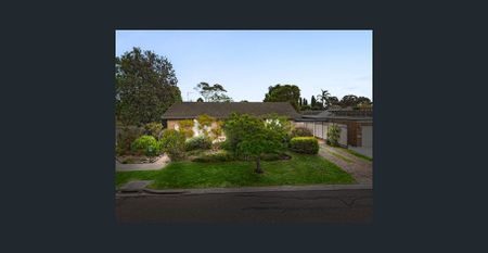 Living in a big house with Alfresco and backyard and a shed for your tools! - Photo 3