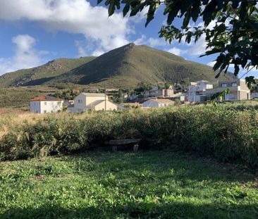 F3 COL SAN STEFANO - OLMETA DI TUDA - Photo 4