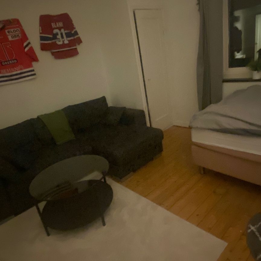 Hornsgatan 36 - Photo 1