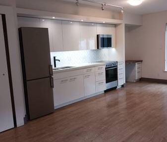 Newly Renovated Studio Apartment - Starting at $1800 - Photo 4