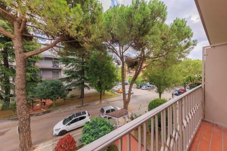 Via Giovanni Pascoli, Padova, Veneto 35125 - Photo 4