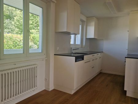 Komplett renovierte Wohnung in stadtnaher und dennoch ruhiger Lage - Foto 2