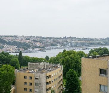 Rua do Campo Alegre, Porto, Braga 4150-177 - Photo 5