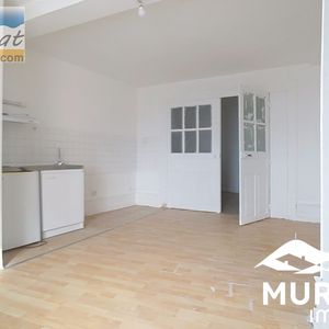 Location Appartement 1 pièce 31m² THIERS 63300 - Photo 2