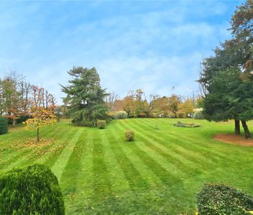 Belle Vue Close, Staines, Middlesex, TW18 2HY - Photo 6