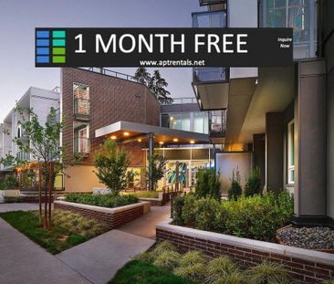 Conrad Apartments - Photo 1
