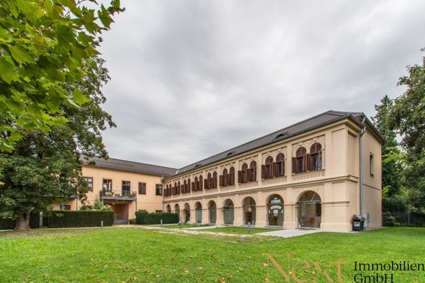 Charmante 2,5-Zimmer-Wohnung mit gemütlichem Eigengarten im Palais Löwenfeld ab sofort zu vermieten! - Photo 1