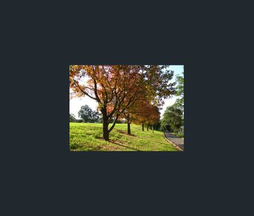 Spacious/Quiet 2 bedrooms Funitured Granny Flat at Carlingford - Photo 5