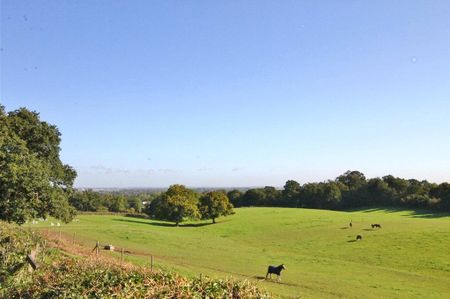 Alexandra Road, Englefield Green - Photo 5