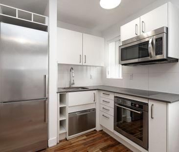 54 Maitland Street - Photo 6