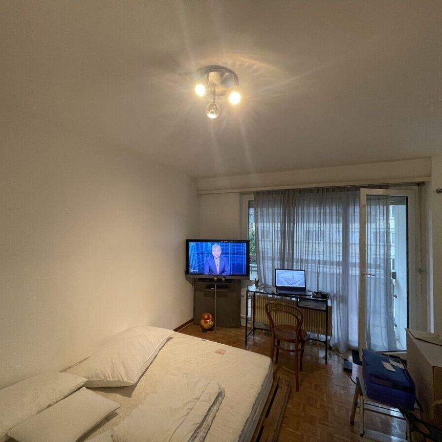 Joli studio à deux pas du lac - Photo 1