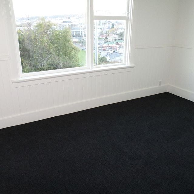 Cozy 4 Bedroom home in North Dunedin - Photo 1