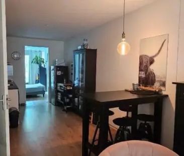 Appartement Bonnikeplein, Noordwijk - À louer - Photo 4