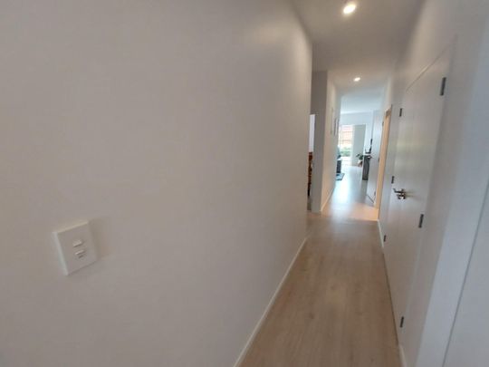 Neat as a pin! - Photo 1