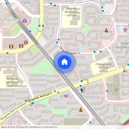 269 Tampines Street 21 (520269), Singapore
