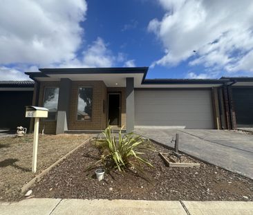 Spacious Family Living in the Heart of Harkness - Photo 3