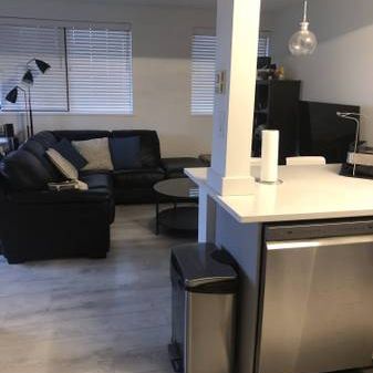 Furnished 1 BR top floor condo with in-suite laundry - Photo 3