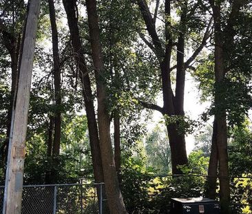 3 1/2 tranquil et spacieux à Saint Lambert - Photo 3