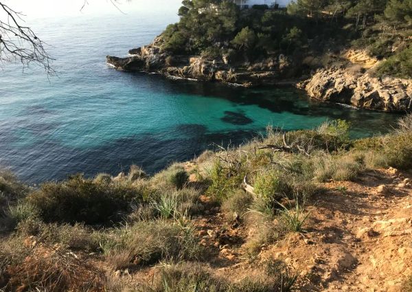 Calvià
