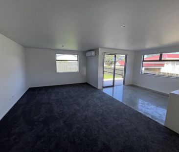 Brand new 3 bedroom in Vogeltown - Photo 5