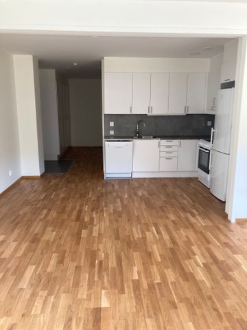 Danska Vägen 64 - Photo 4