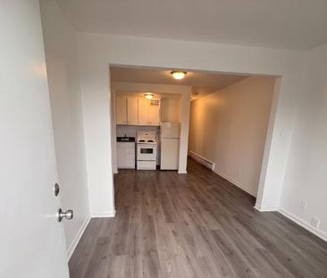 1 CH - 1 SDB - Montréal - $1,149 /mo - Photo 3