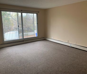 203, 5540 - 44 Avenue - Photo 3