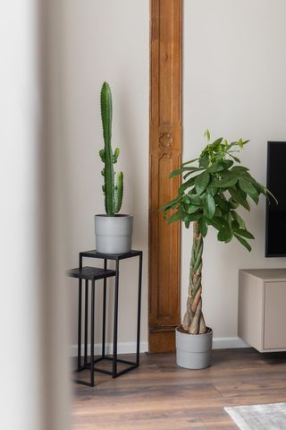 Bezuidenhoutseweg, 2594 AC Den Haag - Photo 5