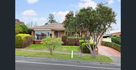 Ideally positioned family residence with access to the park! - Photo 5