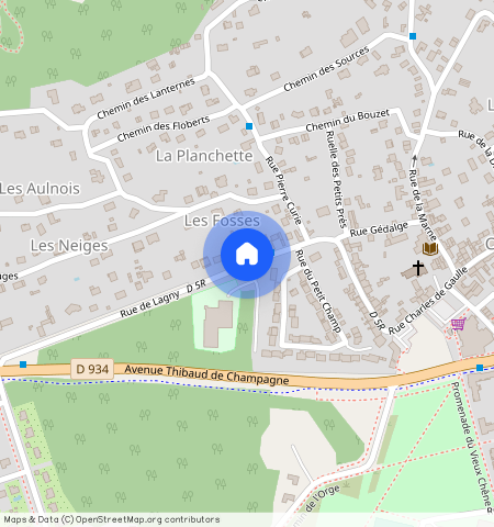 SEINE-ET-MARNE (77), - ILE-DE-FRANCE, CHESSY (77700)