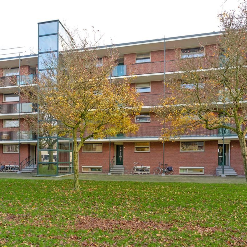 Appartement Veldekestraat, Breda - À Louer - Foto 2