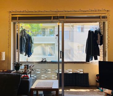 Dulwich Hill - Photo 5