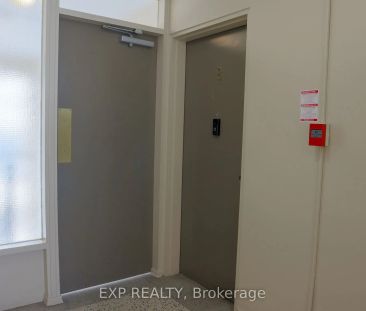 242 D'arcy Street #8 - Photo 5