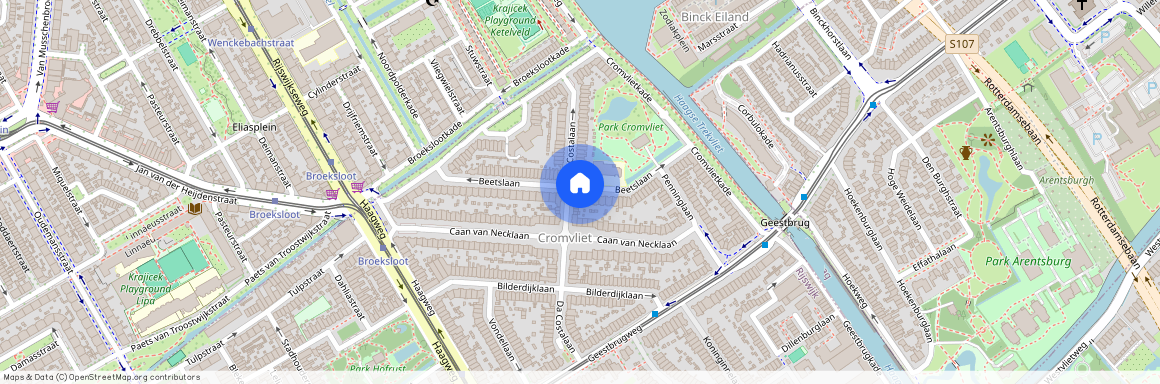 Cromvliet, 2281 TN, Rijswijk