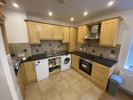 17 Old Bleach Green, Banbridge, BT32 4JG - Photo 3