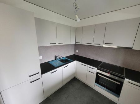 Beautiful 4.5-room apartment renovated in 2022 in a quiet neighborhood! - Photo 5