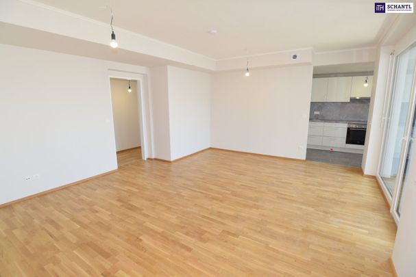 "DER MARKHOF" - Perfekt geplante Familienwohnung mit vier Zimmer und herrlicher Süd-Loggia! - Photo 1