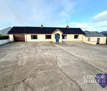 230 Barony Road, Creggan, Omagh, BT79 9AQ - Photo 5