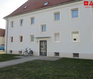 Einmaliges Angebot: preiswerte Starterwohnung mit Küchenablöse! Hel... - Foto 4