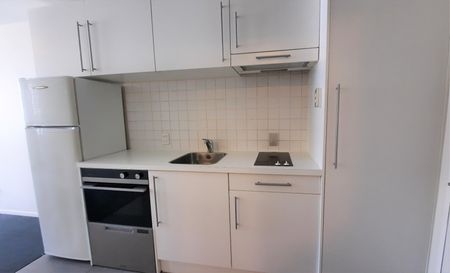 One bedroom Apartment in CBD - Photo 5