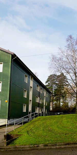 Fafnesgatan, Borås - Photo 1