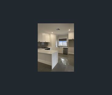 White picket fence Picton - Photo 4