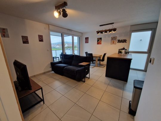 Location Appartement 2 pièces 48m² KEMBS 68680 - Photo 1