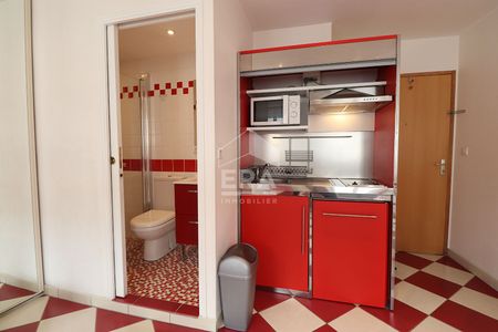 Location Appartement 1 pièce 20m² - Photo 4