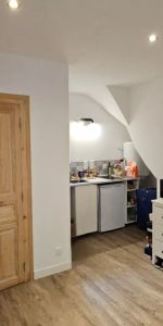 Appartement location de type 1bis - Secteur Montferrand - Photo 3
