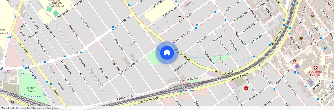 16 Short St, NSW 2218, , Carlton