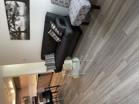 3bed,3bath Fully furnished UBCO condo in the U2 West Building - Photo 2