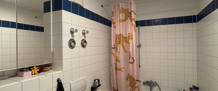 Untermiete - lichtdurchflutete Dachterassenwohnung am Ostkreuz - Foto 1