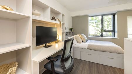 1 bedroom studio to rent Hollingdean Road, Brighton, East Sussex, BN2 - Photo 5