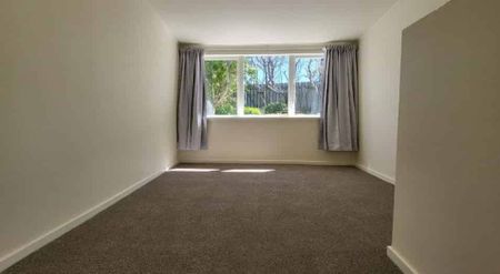 Warm and Inviting in Berhampore - Photo 4